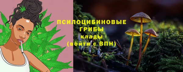прущий лед Заволжье